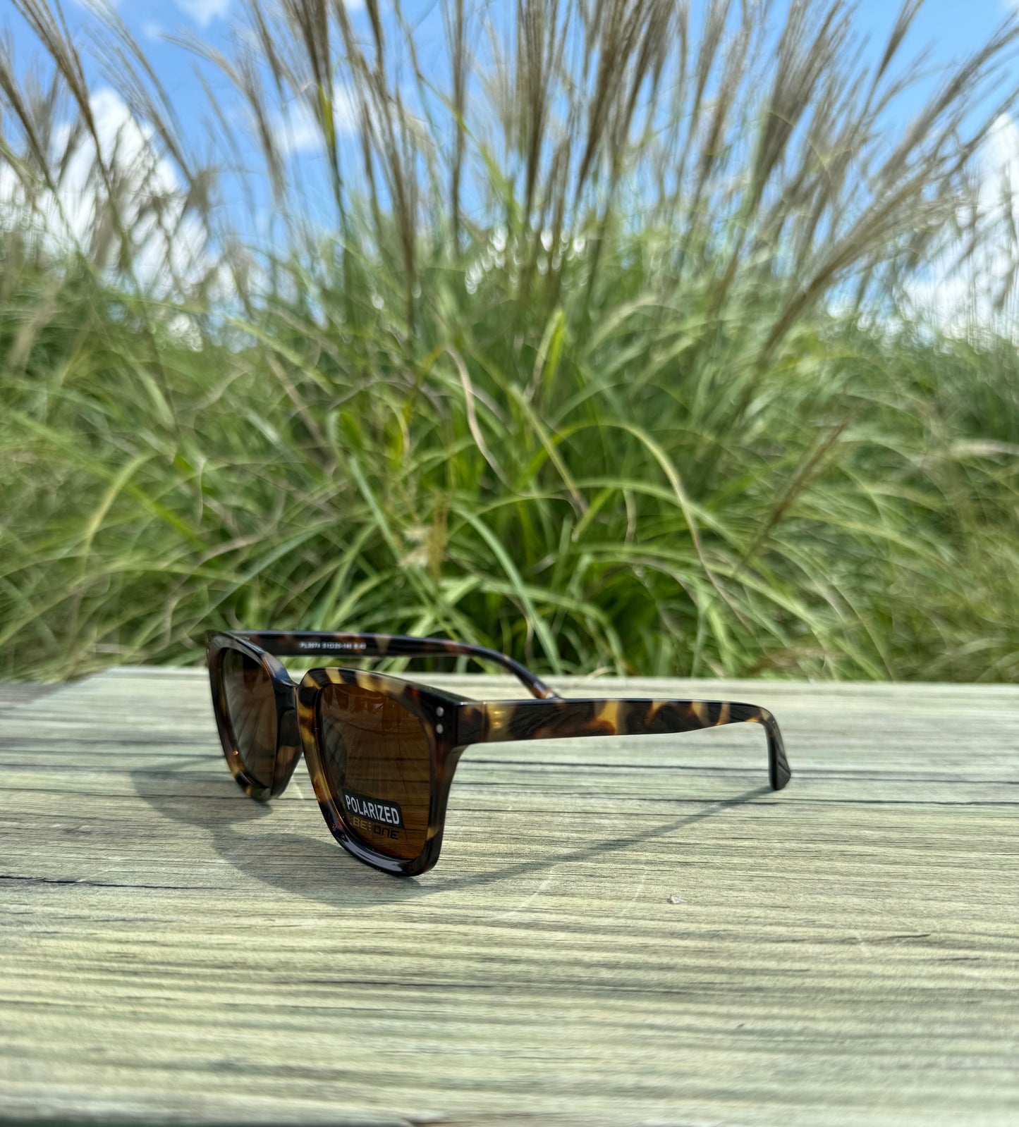 CAM POLARIZED