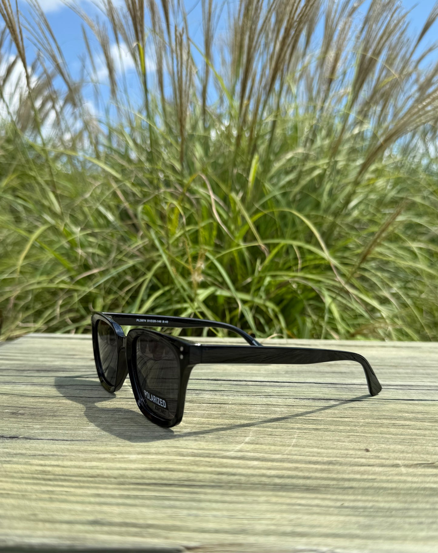 CAM POLARIZED