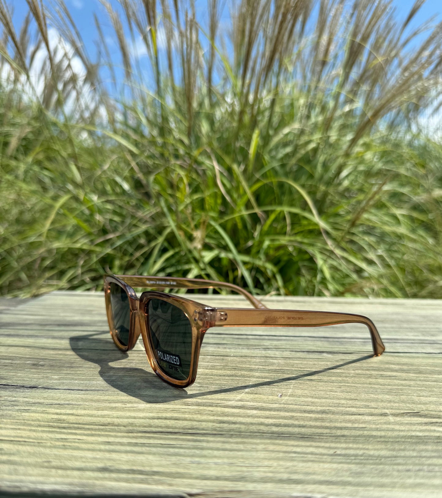 CAM POLARIZED