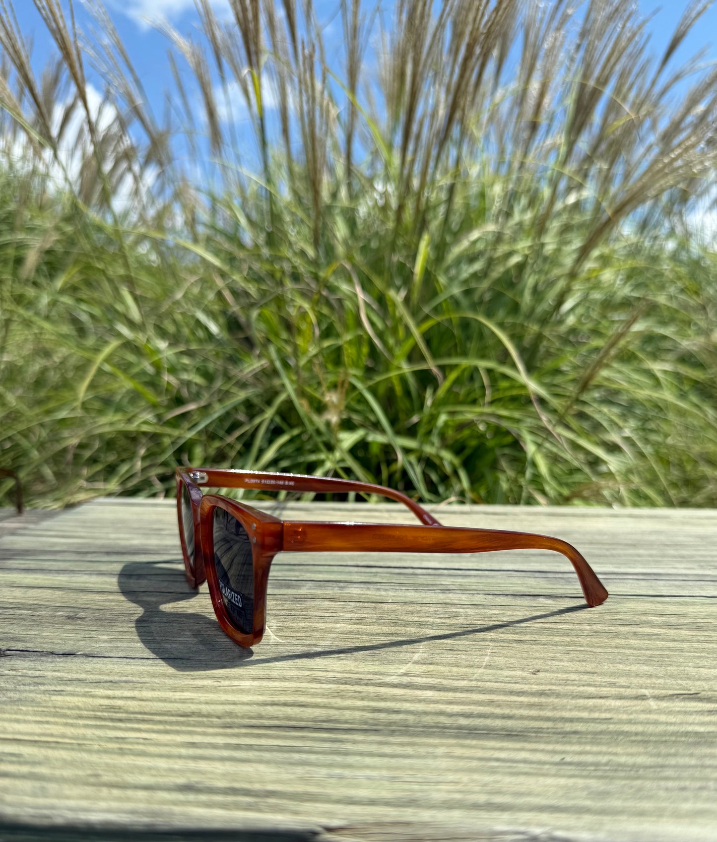 CAM POLARIZED