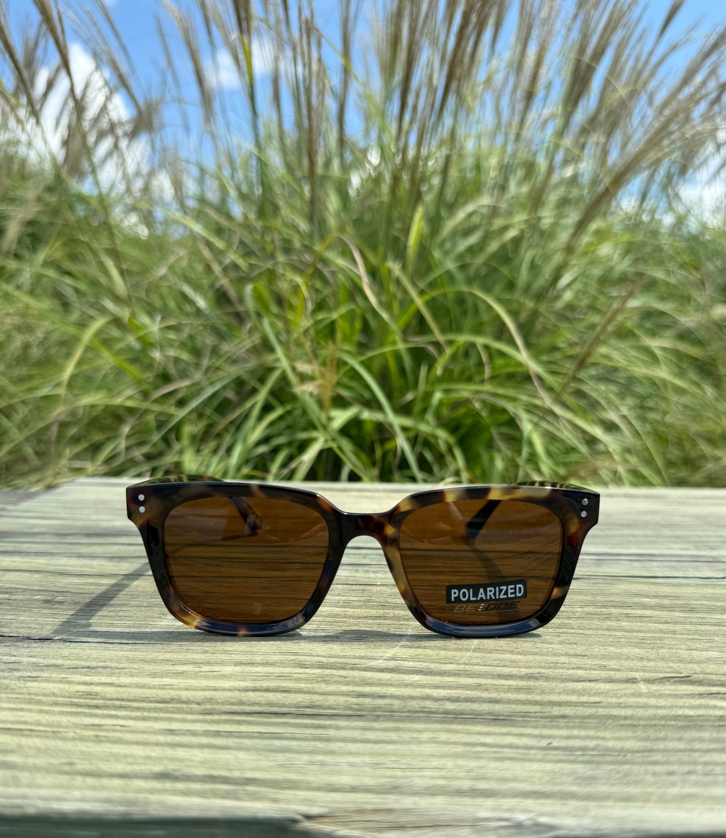 CAM POLARIZED