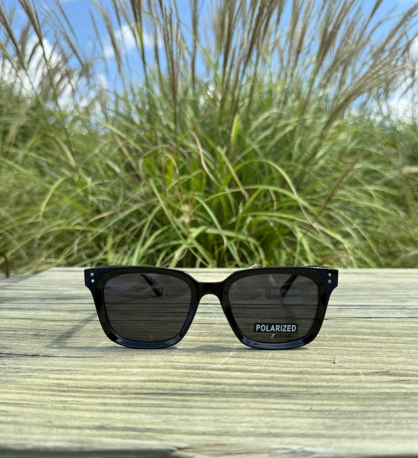 CAM POLARIZED