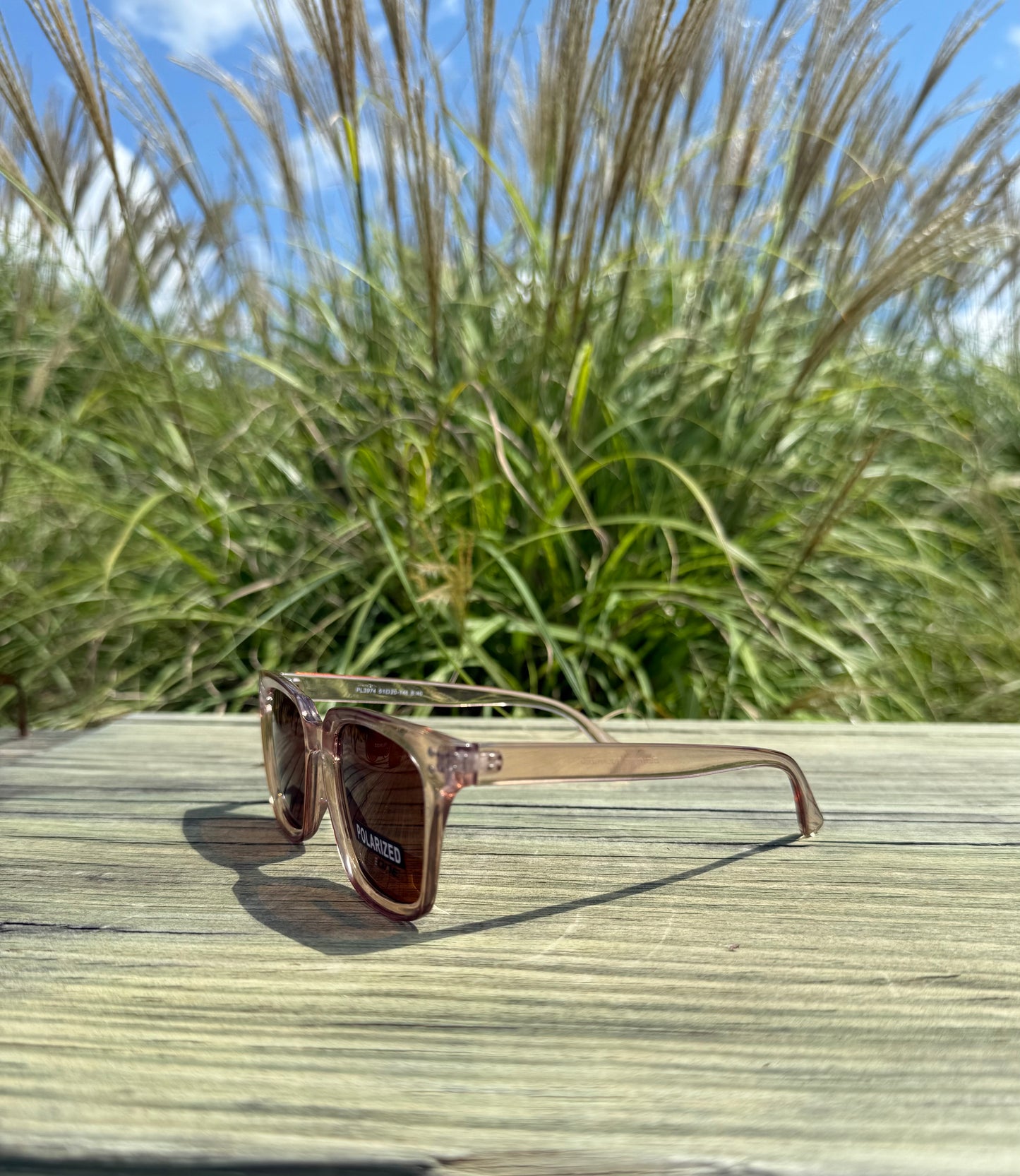 CAM POLARIZED