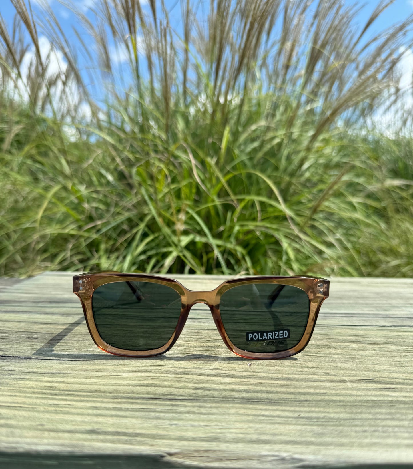 CAM POLARIZED