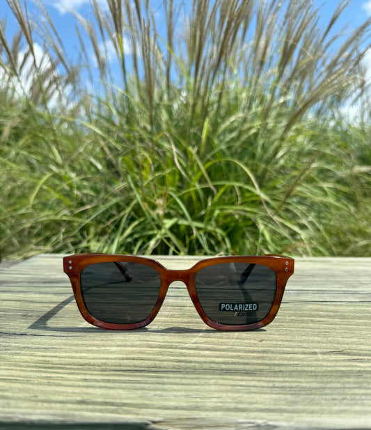 CAM POLARIZED